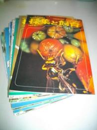 採集と飼育　1977年1月号(第39巻1号)～1977年12月号(第39巻12号)/12冊