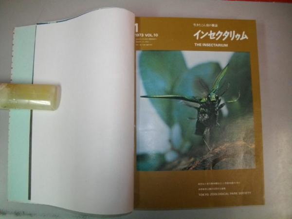 沖縄の古代部落マキョの研究(稲村賢敷) / 伊藤書房 / 古本、中古