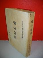 嘘の効用