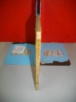釣魚投網案内