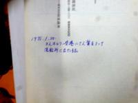 わが愛わが革命