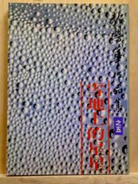 雪地上的星星　於梨華作品集之五