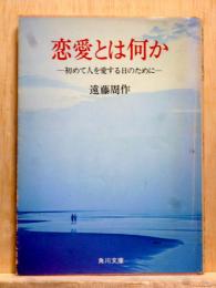 恋愛とは何か　初めて人を愛する日のために　角川文庫