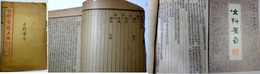 公餘医録五種 女科要旨 石印本共