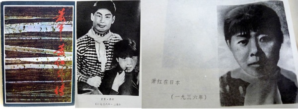 少年は、なぜ殺人犯にされたか 「みどりちゃん殺人事件」えん罪