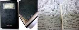 新時文辞典