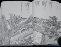 仏教コミックス　阿部高明　仏教の歴史 インド2　原作：ひろさちや