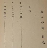 神々の翼　大東亜戦争南方航空撃滅戦記