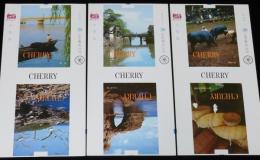 【印刷見本たばこパッケージ】観光記念　山陰路 1972　3種セット　松江/隠岐牛突