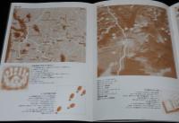 【映画パンフ】ツイン・ピークス　ローラ・パーマー最期の7日間　1992年/デビッド・ボウイ