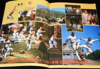 【映画パンフ】少林寺　1982年公開時パンフ/リー・リンチェイ（ジェット・リー）