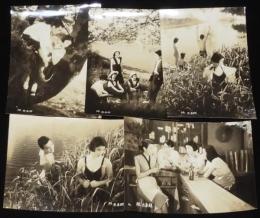 【映画スチール】続 思春期　5枚セット　東宝　昭和28年/本多猪四郎/青山京子