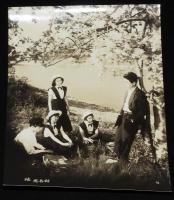 【映画スチール】続 思春期　5枚セット　東宝　昭和28年/本多猪四郎/青山京子