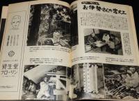 週刊朝日　昭和28年1/11号　お伊勢さんの宮大工/ジュウドウ 講道館/映画スター評判記