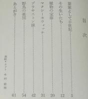 【豆本】HTBまめほん38　函館山