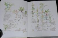 サラ・ミッダのガーデンスケッチ　2冊組セット箱入