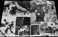 【映画パンフ】龍拳 Dragon Fist　1979年香港映画/ジャッキー・チェン/酔拳/蛇拳/笑拳