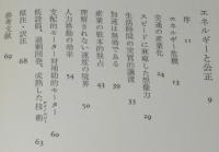 エネルギーと公正　注目の論文『創造的失業の権利』併録