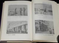 ヘイカチの航海記　渡辺はま子/オイ・ニッポン