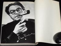 鏡のなかへの墜落　わが名はガンテンバイン