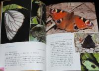 北海道の昆虫　オールカラー版
