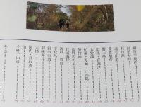 忘れられた道　北の旧道・廃道を行く