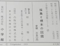 小学館の学習図鑑シリーズ17　採集と標本の図鑑