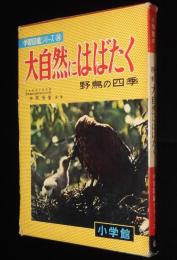小学館の学習図鑑シリーズ14　大自然にはばたく　野鳥の四季　初版/記録映画
