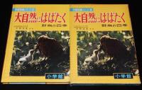 小学館の学習図鑑シリーズ14　大自然にはばたく　野鳥の四季　初版/記録映画