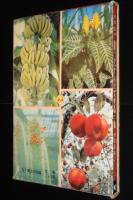 小学館の学習図鑑シリーズ25　花と園芸の図鑑