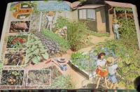 小学館の学習図鑑シリーズ25　花と園芸の図鑑