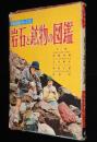 小学館の学習図鑑シリーズ21　岩石と鉱物の図鑑