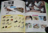 小学館の学習図鑑シリーズ23　理科観察の図鑑