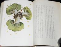 岩波少年文庫53　サン=テグジュペリ　星の王子さま