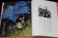 科学のアルバム67　シカのくらし