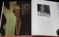 科学のアルバム46　ムササビの森