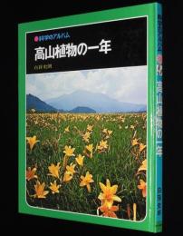 科学のアルバム31　高山植物の一年