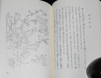岩波少年文庫創刊40年記念 特装版29　プラテーロとぼく