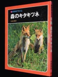 科学のアルバム77　森のキタキツネ