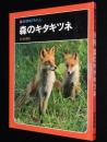 科学のアルバム77　森のキタキツネ