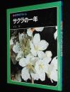 科学のアルバム38　サクラの一年