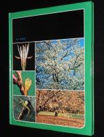 科学のアルバム38　サクラの一年
