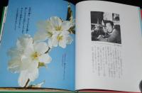 科学のアルバム38　サクラの一年