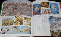 科学のアルバム38　サクラの一年