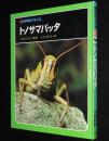科学のアルバム35　トノサマバッタ