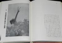 岩波科学の本5　動物の生活リズム　日周期の話/ウミサボテン