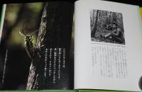 科学のアルバム65　カミキリムシ