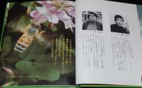 科学のアルバム27　ミツバチのふしぎ