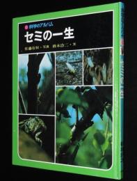 科学のアルバム16　セミの一生