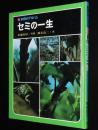 科学のアルバム16　セミの一生